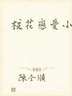校花恋爱小说