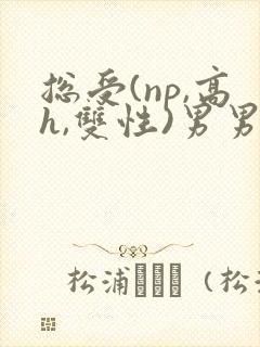 总受(np,高h,双性)男男