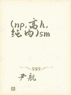 (np,高h,纯肉)sm封面