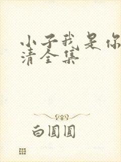 小子我是你姐高清全集