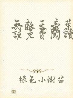 无敌天帝叶凡小说免费阅读