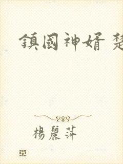 镇国神婿 楚尘