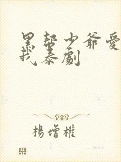黑帮少爷爱上了我泰剧
