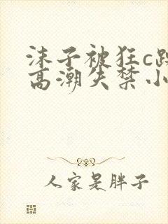 沫子被狂c躁到高潮失禁小说