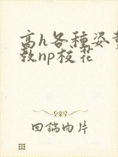 高h各种姿势调教np校花