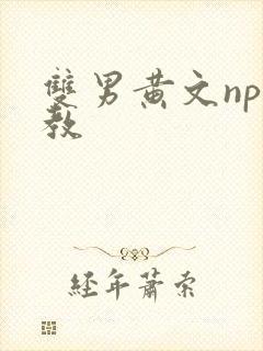 双男黄文np调教