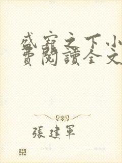 盛宠之下小说免费阅读全文