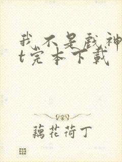 我不是戏神txt完本下载封面