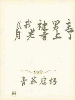 《我被男主的白月光看上了》