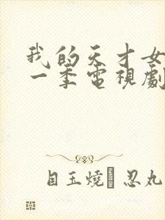 我的天才女友第一季电视剧免费看