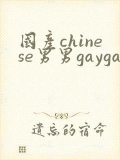 国产chinese男男gaygay 网站