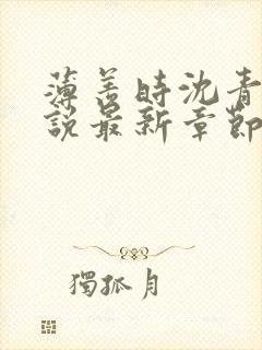 薄羡时沈青绾小说最新章节免费阅读