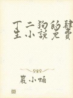 丁二狗的肆意人生小说免费有声封面