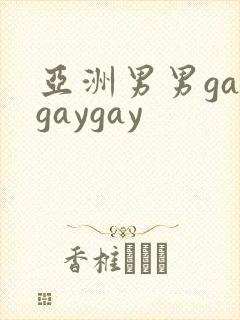 亚洲男男gaygaygay封面