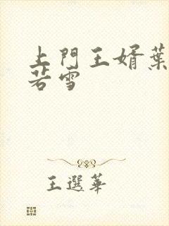 上门王婿叶凡唐若雪封面