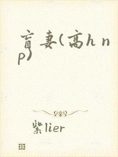 盲妻(高h np)