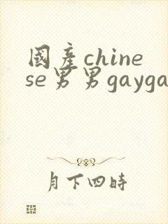 国产chinese男男gaygay在线封面
