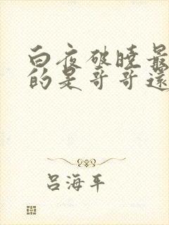 白夜破晓最后死的是哥哥还是弟弟