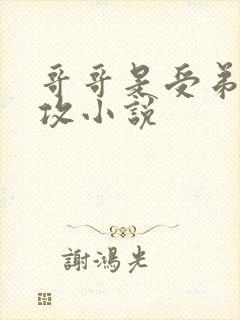 哥哥是受弟弟是攻小说