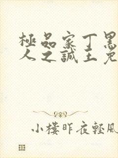 极品家丁黑暗同人之诚王免费阅读