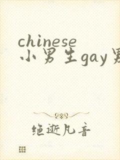 chinese小男生gay男男网站