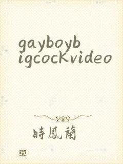gayboybigcockvideo封面