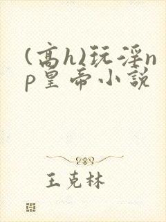 (高h)玩淫np皇帝小说