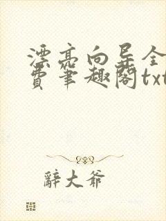 漂亮向导全文免费笔趣阁txt下载