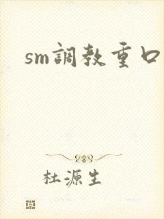sm调教重口文