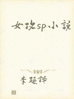 女攻sp小说