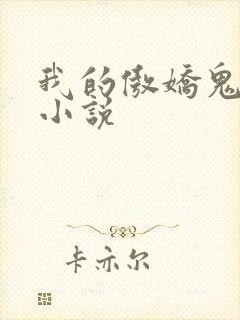 我的傲娇鬼夫 小说