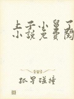 上子小舅了老婆小说免费阅读封面