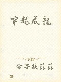 穿越成龙