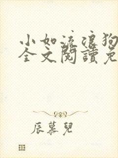 小如流浪狗01全文阅读免费无弹窗