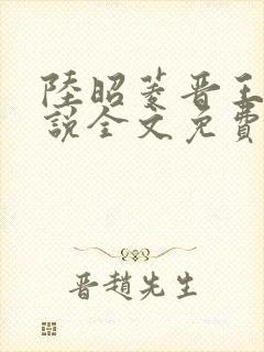 陆昭菱晋王的小说全文免费阅读