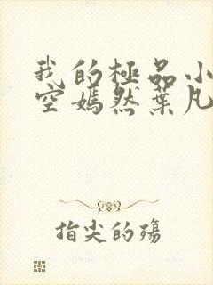 我的极品小姨司空嫣然叶凡