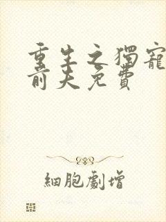 重生之独宠残疾前夫免费