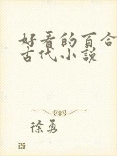 好看的百合小说古代小说封面