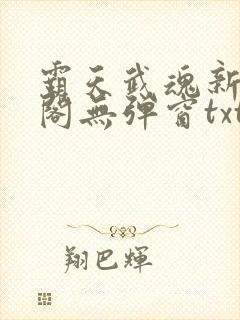 霸天武魂新笔趣阁无弹窗txt