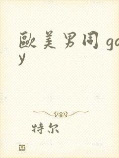 欧美男同 gay