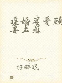 暖婚蜜爱顾少宠妻上瘾