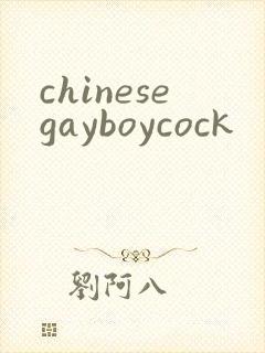 chinesegayboycock
