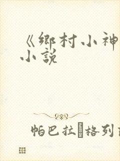 《乡村小神农》小说封面