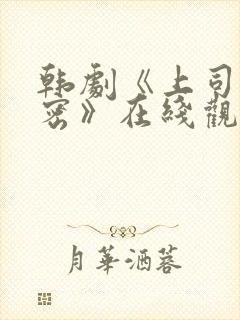 韩剧《上司的秘密》在线观看全集电影封面