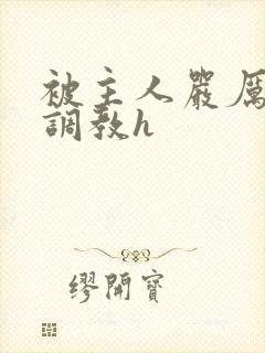 被主人严厉惩罚调教h封面