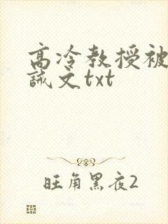 高冷教授被罚训诫文txt