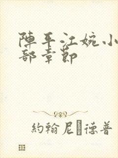 阵平江婉小说全部章节