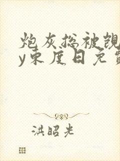 炮灰总被觊觎by东度日免费阅读封面