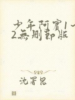 少年阿宾1～72无删节版封面