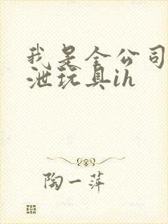 我是全公司的发泄玩具ih